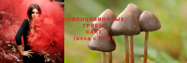 кокс Алзамай