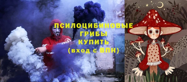 хмурый Алексеевка