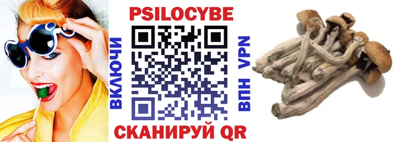 Псилоцибиновые грибы Cubensis  Каневская 