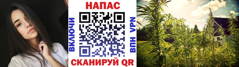 Конопля White Widow  где купить наркоту  Каневская 